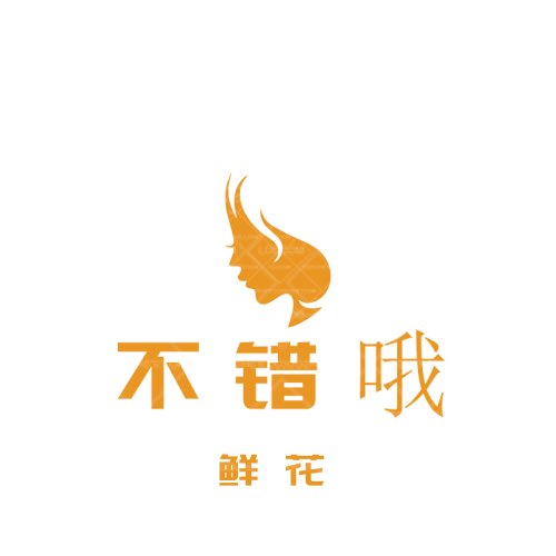 魅妍logo设计